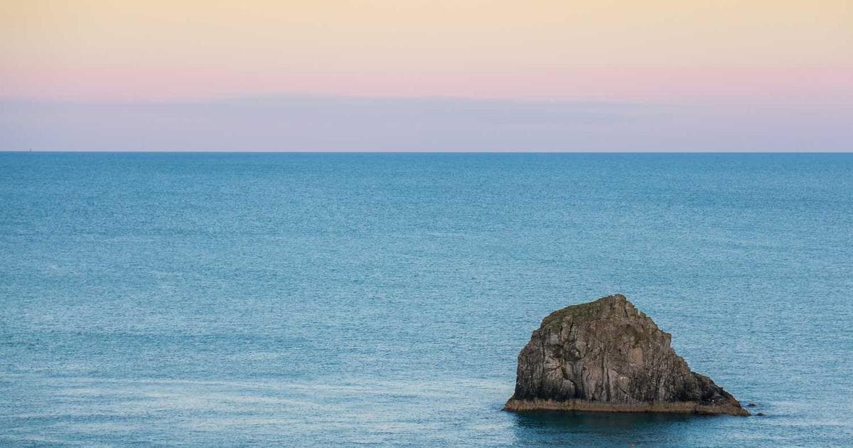 Les PDG parient sur l'IA : Retour sur investissement ou mirage ?