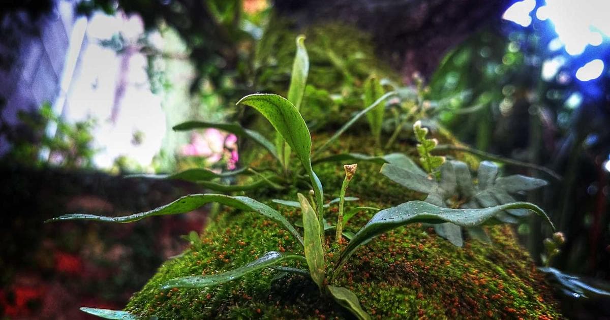 Instacart innove le commerce avec ChatGPT